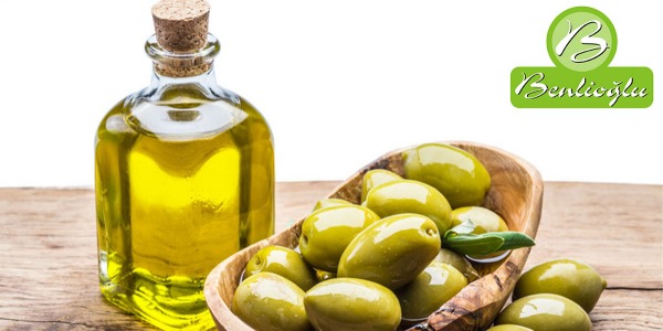 Zeytinyağı Sağlıklı Tekli Doymamış Yağlar Açısından Zengindir. 